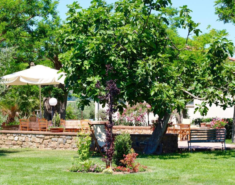 Agriturismo Vecchio Imposto Маса Маритима Екстериор снимка